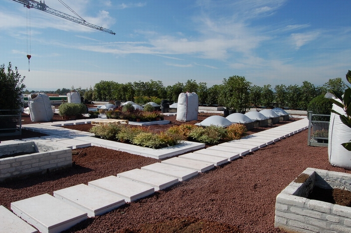 greenroofs South Africa