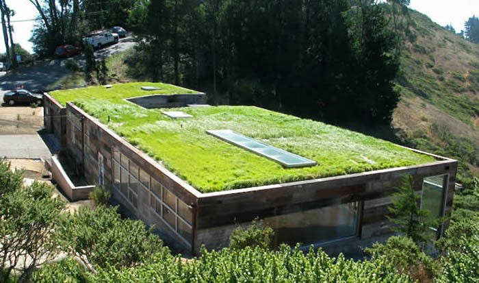 greenroofs South Africa