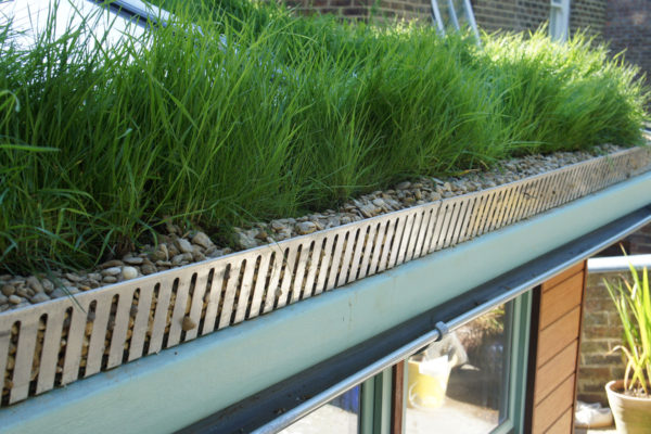 green roof edging